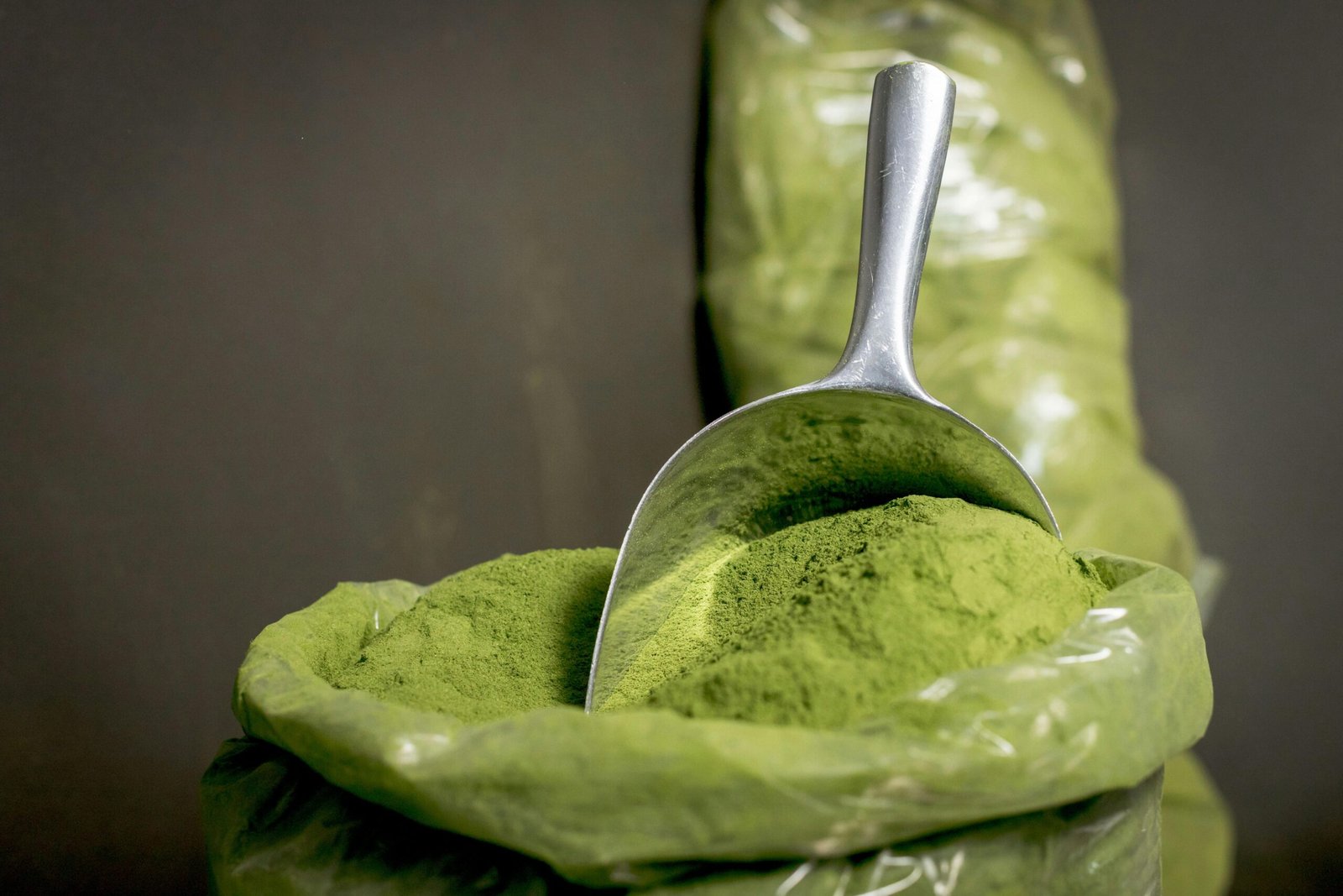 Fresh green botanical ingredient close-up for Baovita Moringa Powder