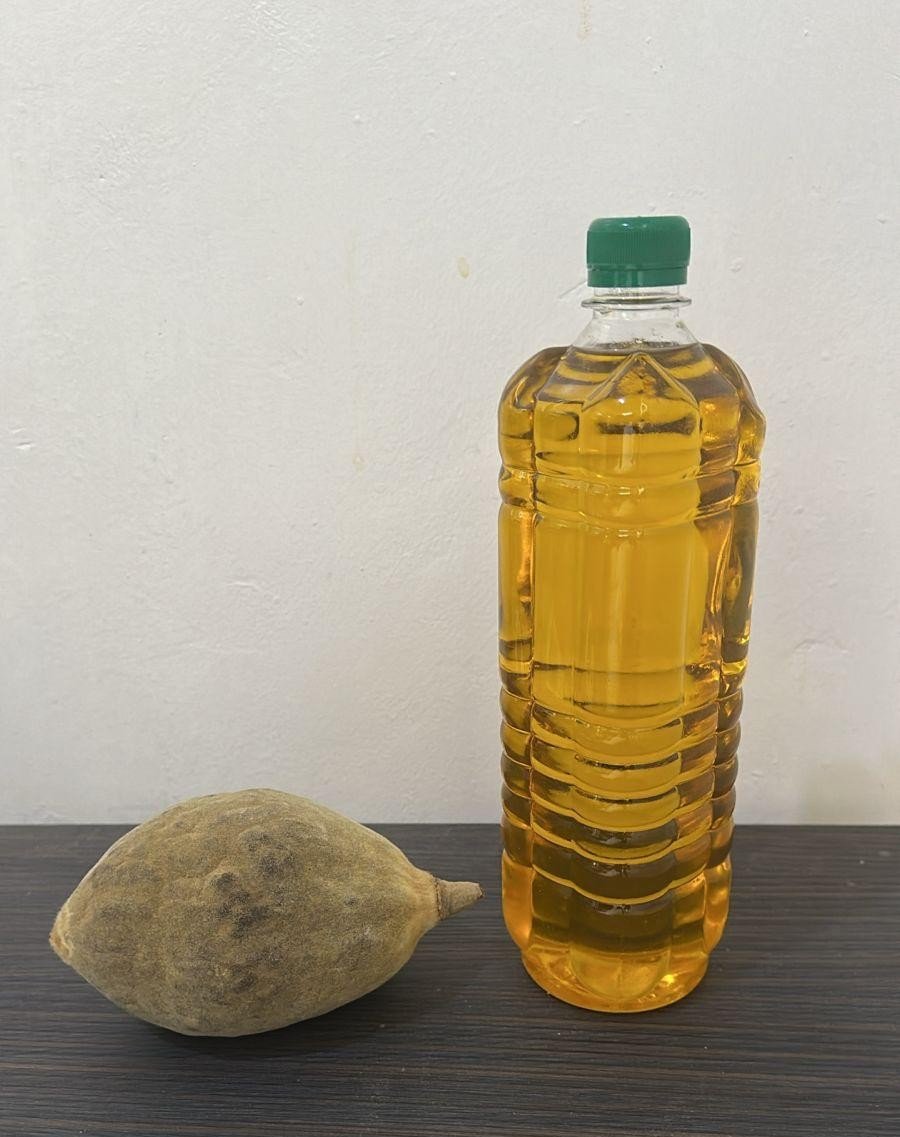 Baovita Baobab Oil product image